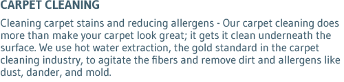 Carpet Cleaning Carpet Cleaning