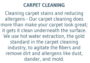 Carpet Cleaning Carpet Cleaning