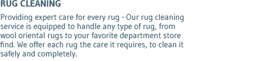 Area Rug Cleaning Area Rug Cleaning