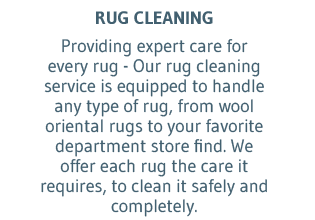 Area Rug Cleaning Area Rug Cleaning